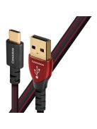 Audioquest Cinnamon USB