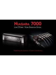 Audioquest Niagara 7000