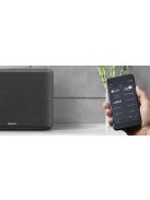 Denon 2x Home 250