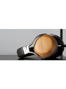 Denon AH-D9200