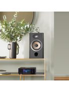 Focal Aria Evo X N°1