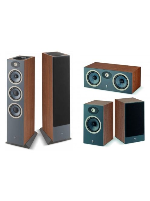 Focal THEVA N°3-D 5.0