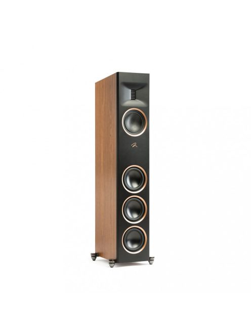 Martin Logan Motion XT F100