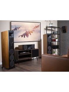 Martin Logan Motion XT F200