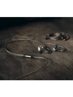 Sennheiser IE 900